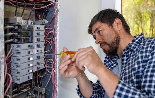 Best Ceiling Fan Installation Electrician  in Port Norris, NJ